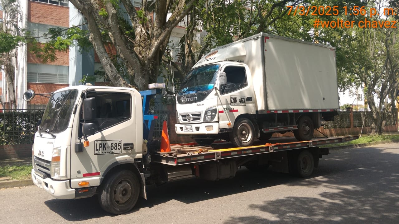 Servicio 10